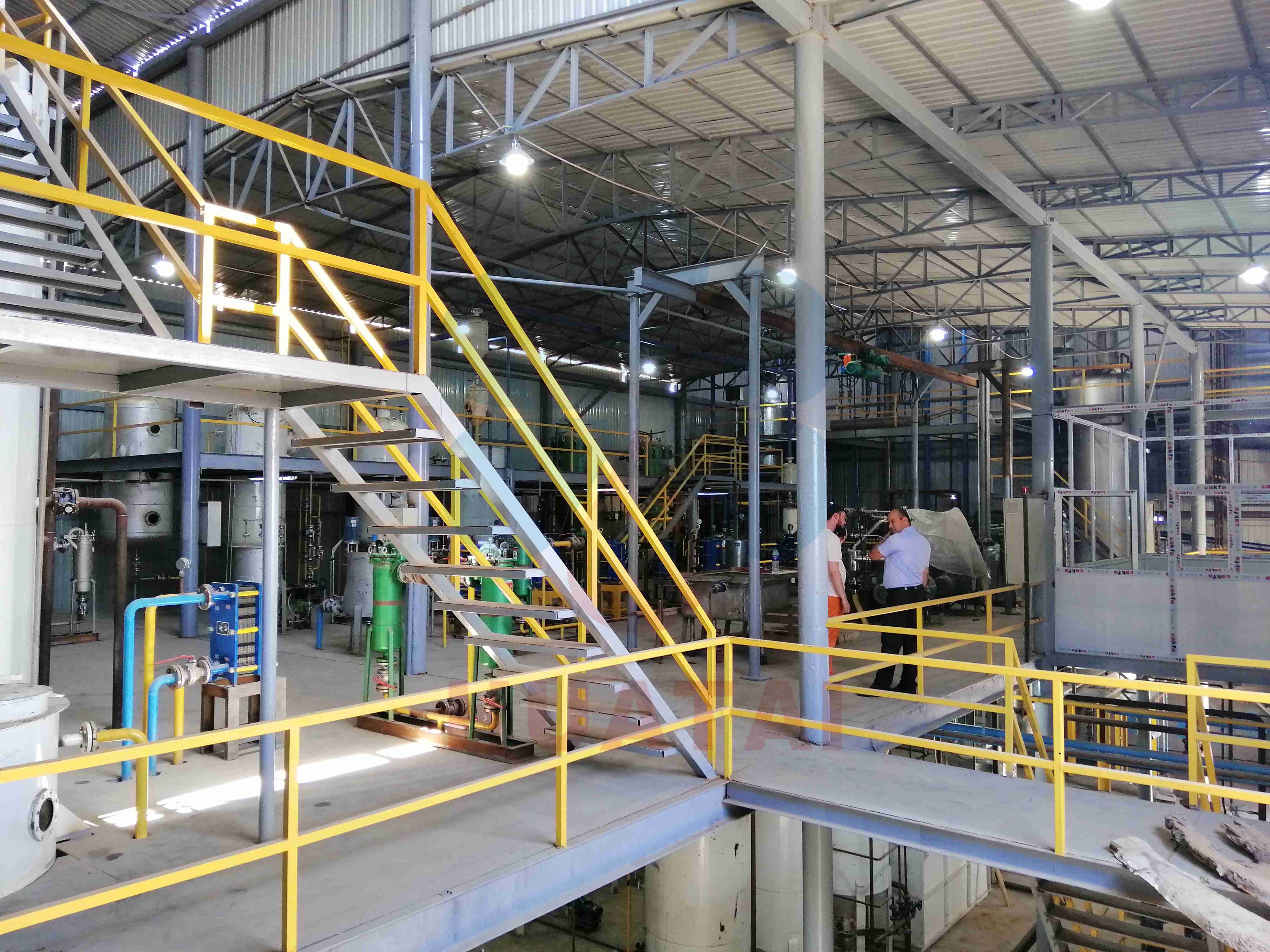 What Role Does Pretreatment Play in Enhancing Oil Extraction from Cottonseed?